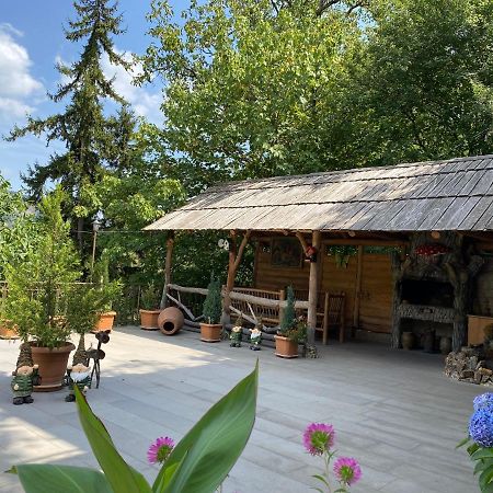 Anano'S Guesthouse Bordżomi Zewnętrze zdjęcie