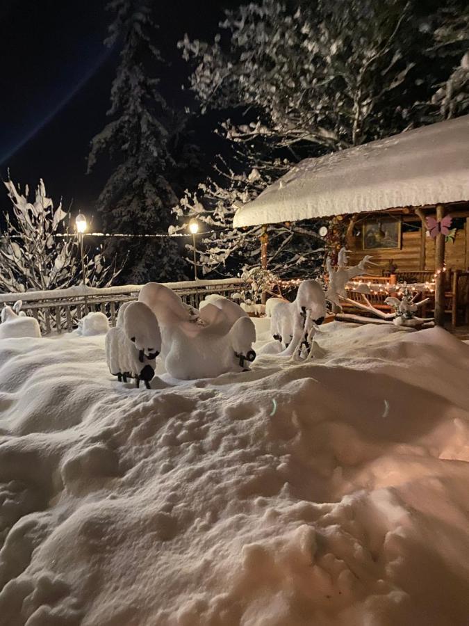 Anano'S Guesthouse Bordżomi Zewnętrze zdjęcie