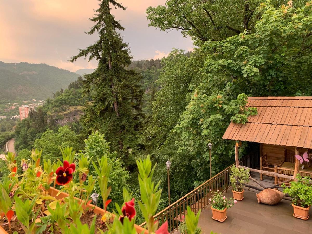 Anano'S Guesthouse Bordżomi Zewnętrze zdjęcie